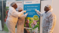 River Basin MD visit to Delphy Agro Improvement Centre Wageningen