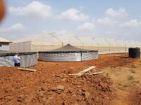 First Dutch Pilot greenhouse farming project in Nigeria